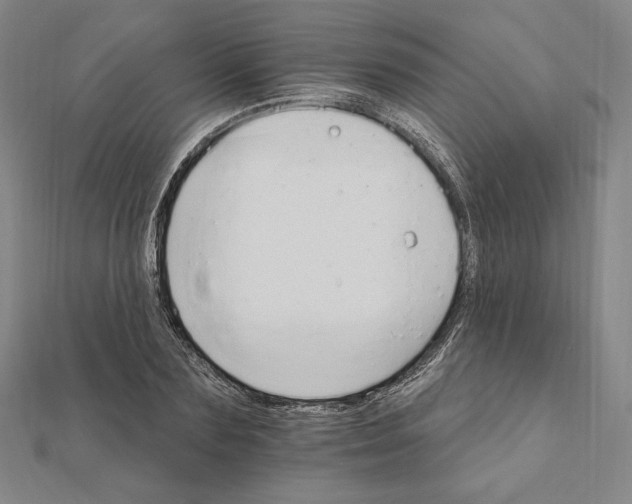 X0000111510883200908041220