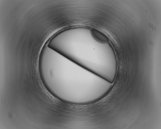 X0000111510884200908041220