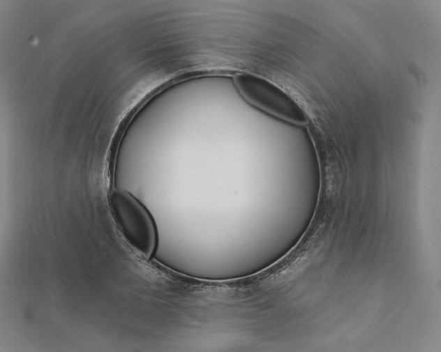 X0000111510885200908041220