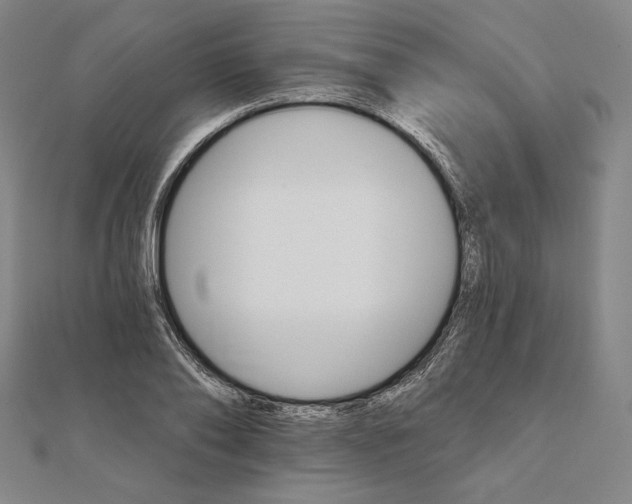 X0000111510886200908041220