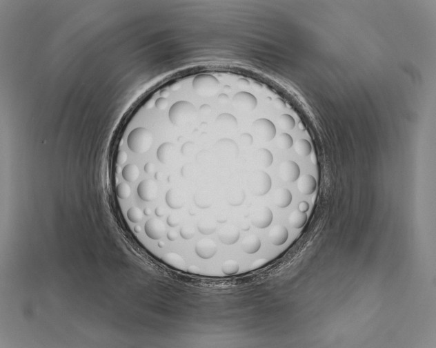 X0000111510887200908041220