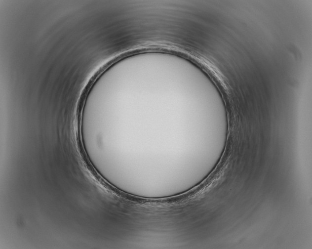 X0000111510888200908041220