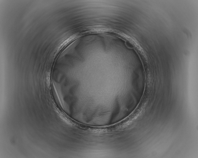 X0000111510889200908041220