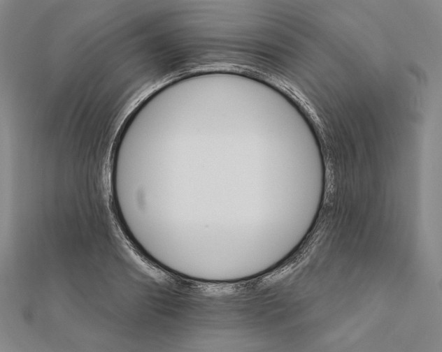 X0000111510890200908041220