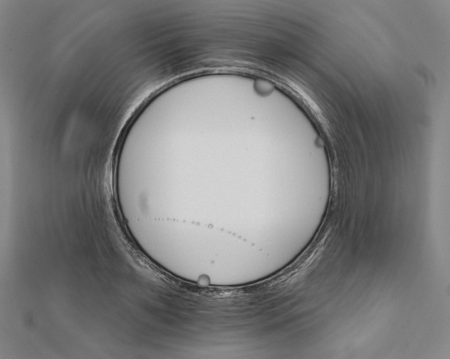 X0000111510891200908041220