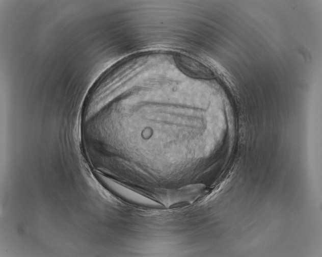 X0000111510892200908041220