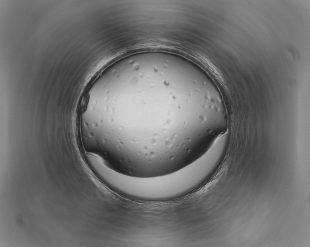 X0000111510893200908041220