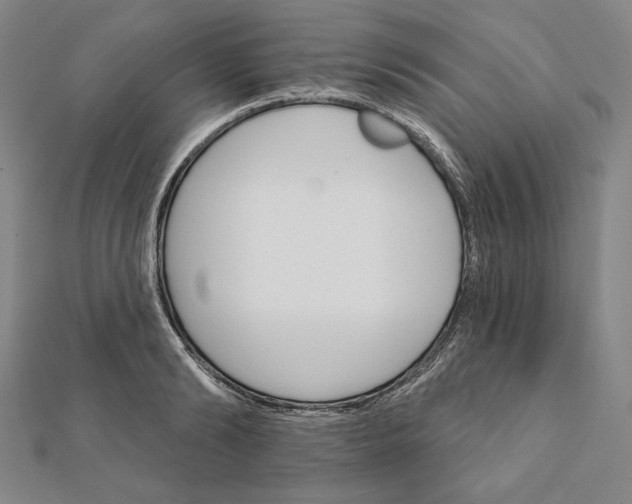 X0000111510894200908041220