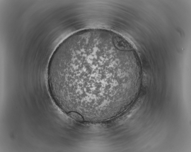 X0000111510895200908041220