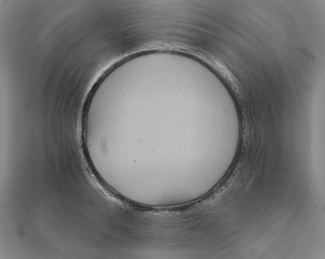 X0000111510896200908041220