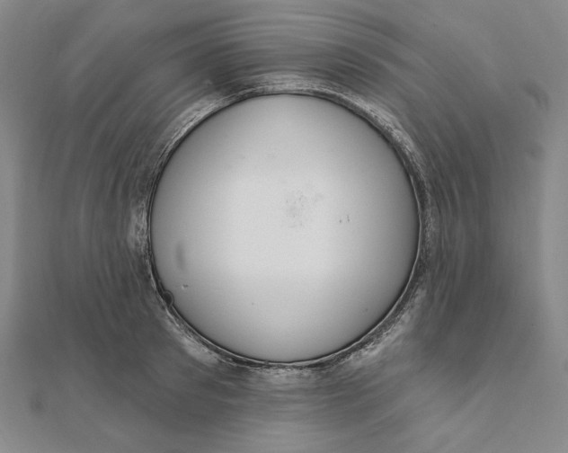 X0000111510897200908041220