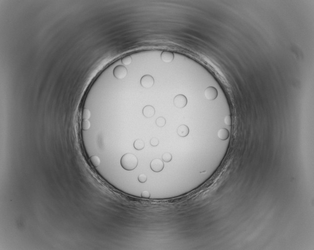 X0000111510899200908041220