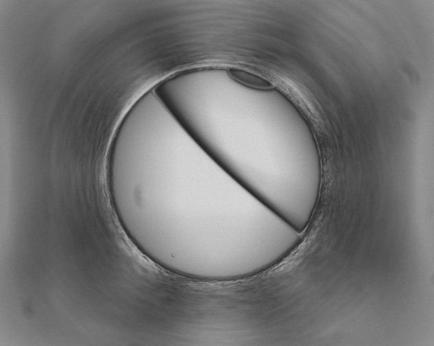 X0000111510900200908041220