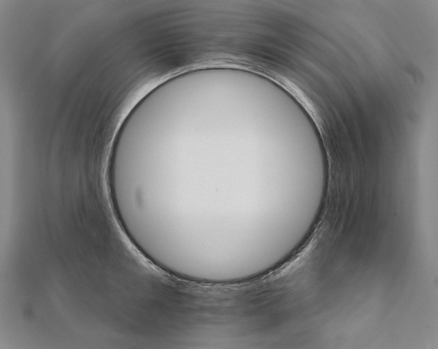 X0000111510901200908041220