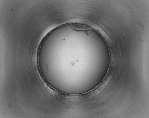 X0000111510902200908041220