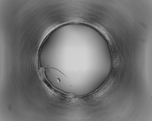 X0000111510903200908041220