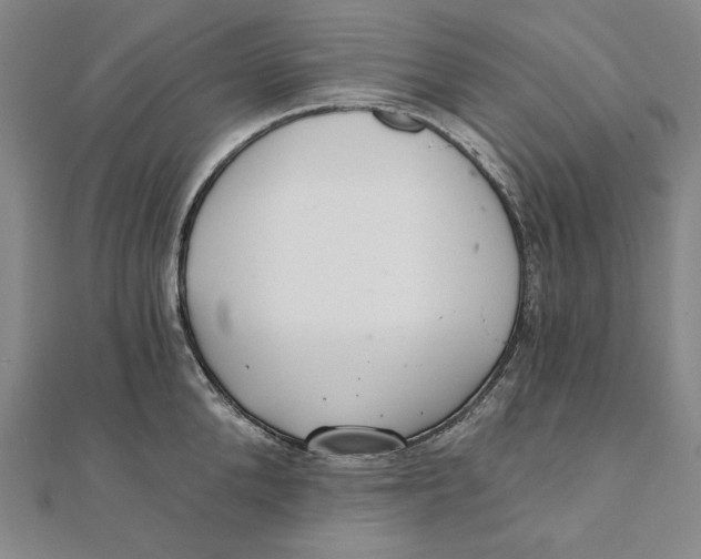 X0000111510904200908041220