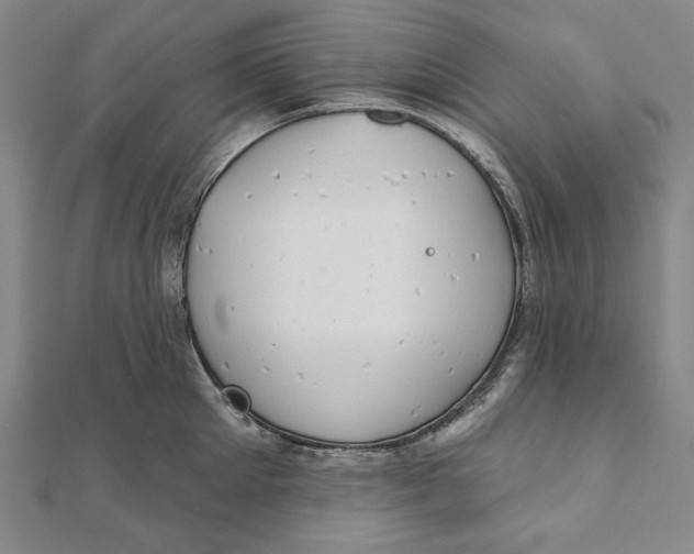 X0000111510905200908041220