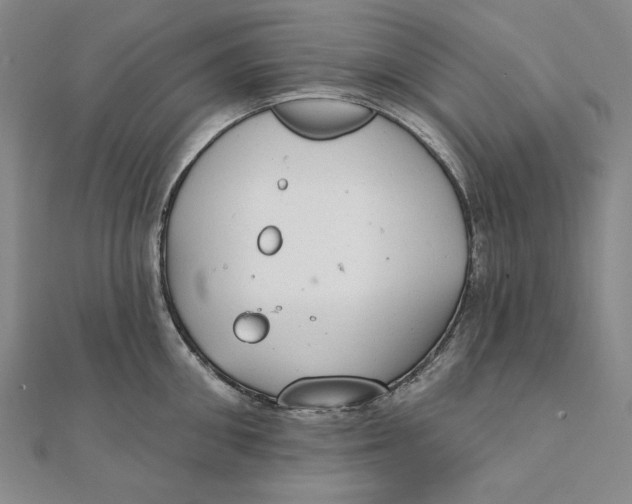 X0000111510906200908041220