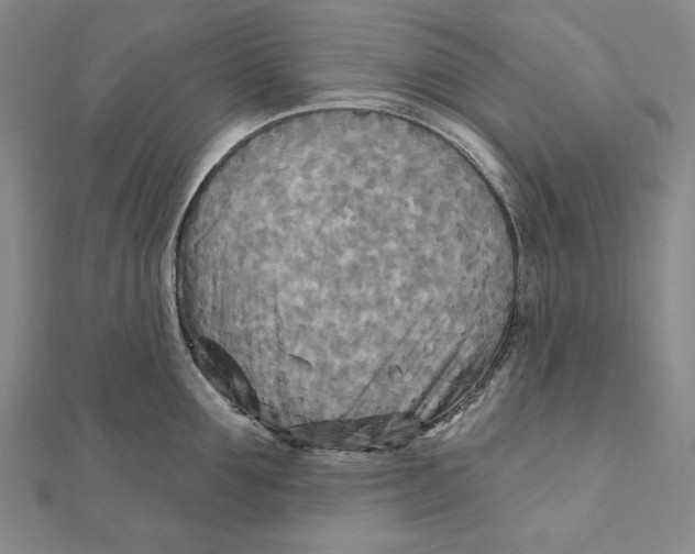 X0000111510907200908041220