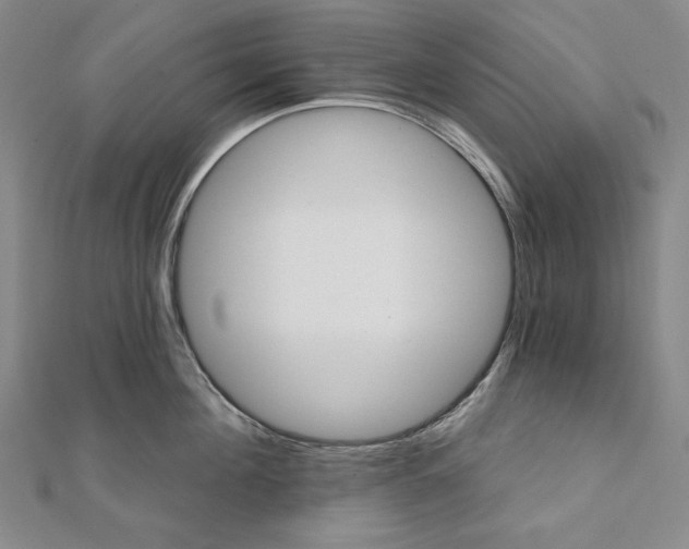 X0000111510908200908041220