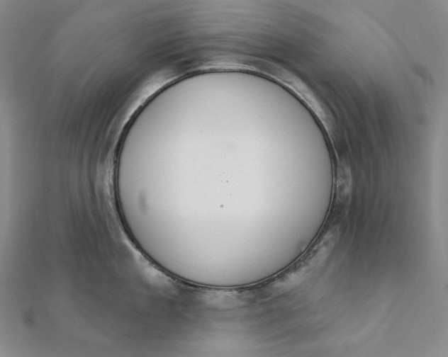 X0000111510909200908041220