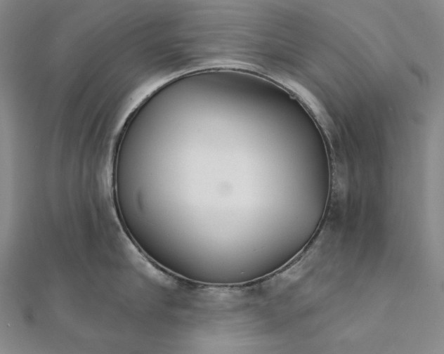 X0000111510910200908041220