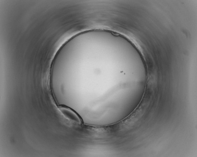 X0000111510911200908041220