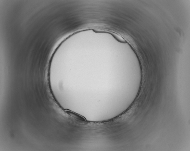 X0000111510912200908041220