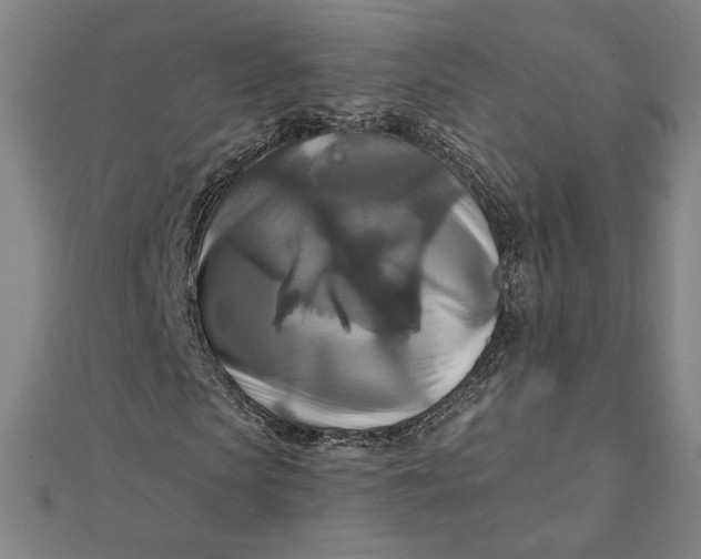 X0000111510913200908041219