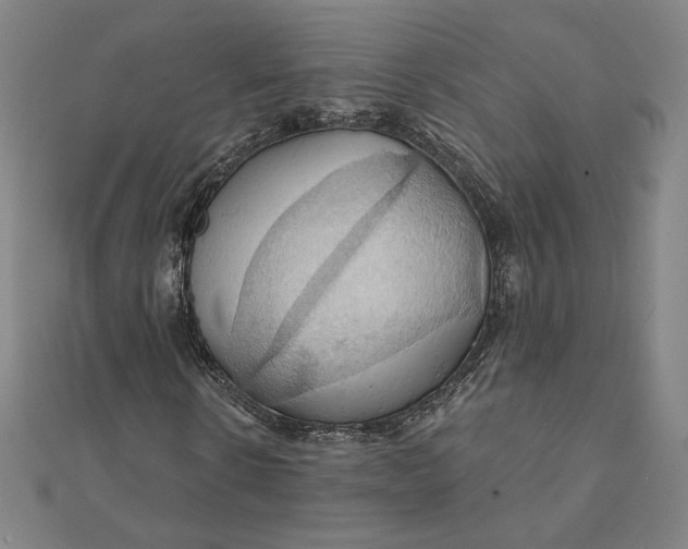 X0000111510914200908041219