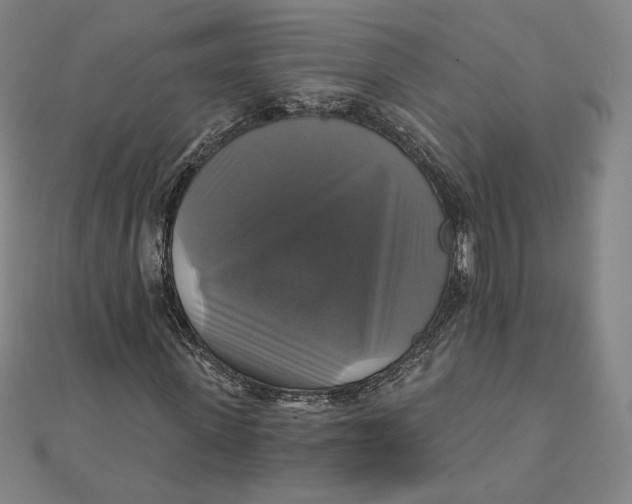 X0000111510915200908041219