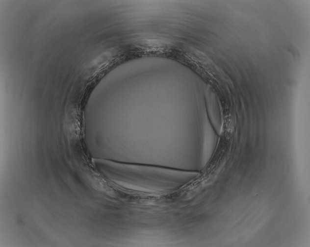 X0000111510916200908041219