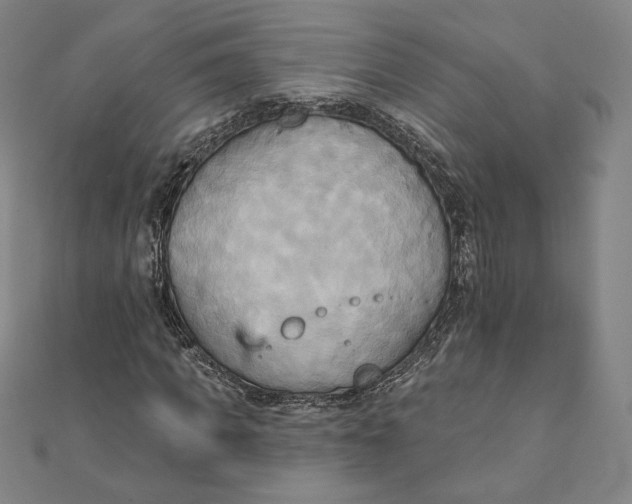 X0000111510917200908041219