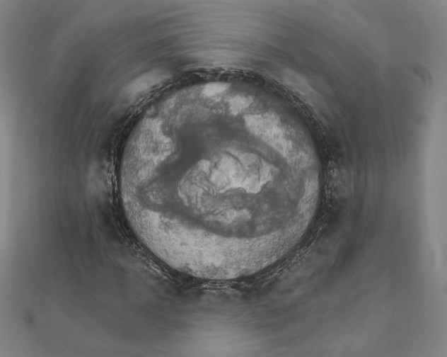 X0000111510918200908041219