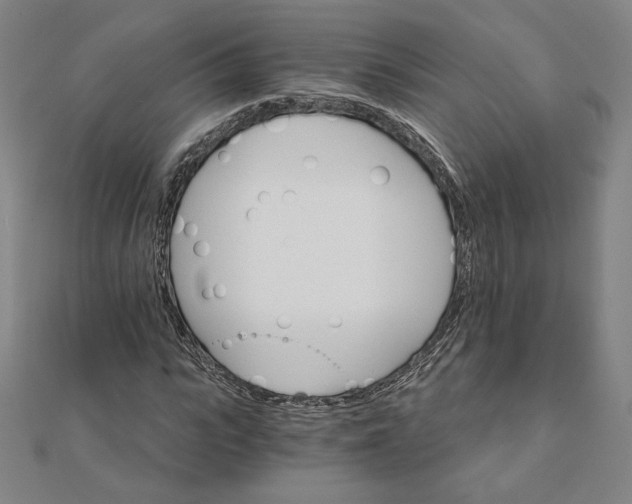 X0000111510919200908041219