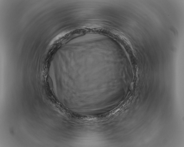 X0000111510920200908041219