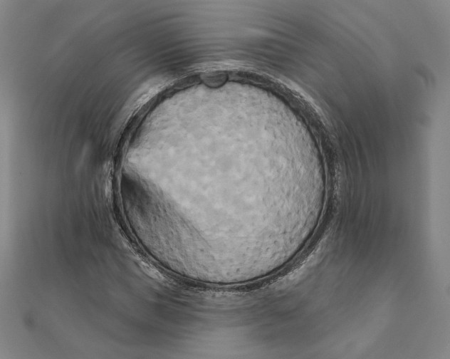 X0000111510921200908041219