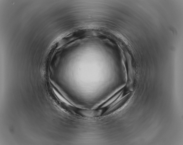 X0000111510922200908041219