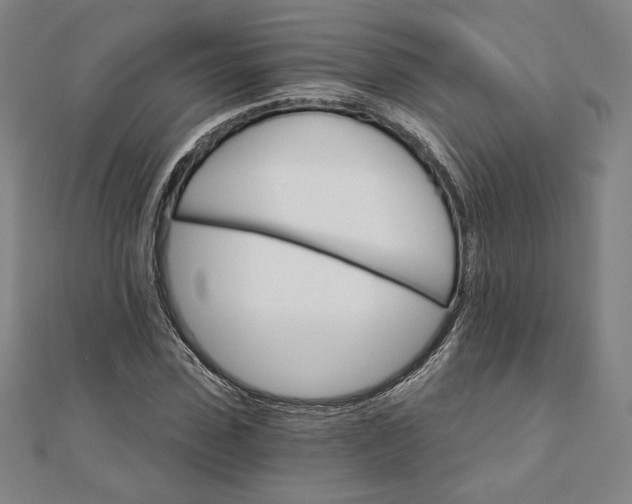 X0000111510923200908041219