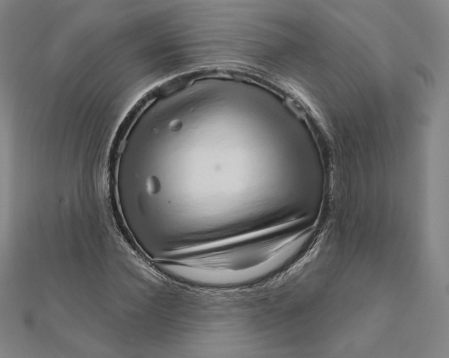 X0000111510924200908041219