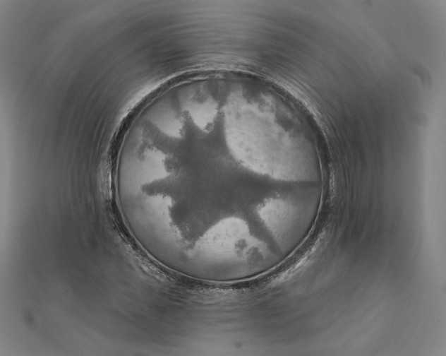 X0000111510925200908041219