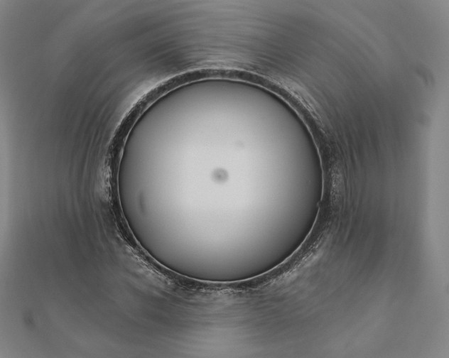 X0000111510926200908041219