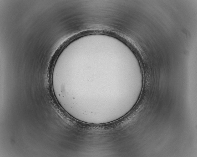 X0000111510927200908041219