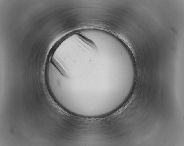 X0000111510928200908041219