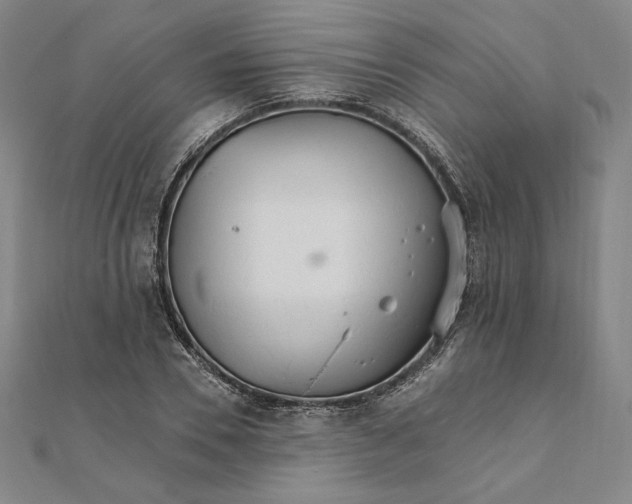 X0000111510930200908041219