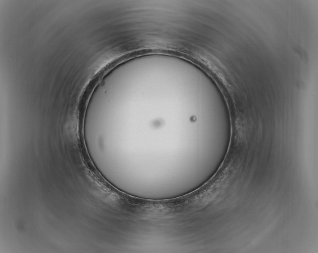 X0000111510931200908041219