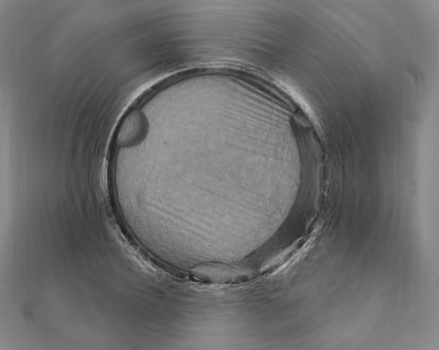 X0000111510932200908041219