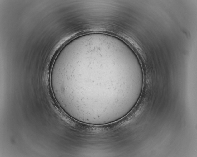 X0000111510933200908041219