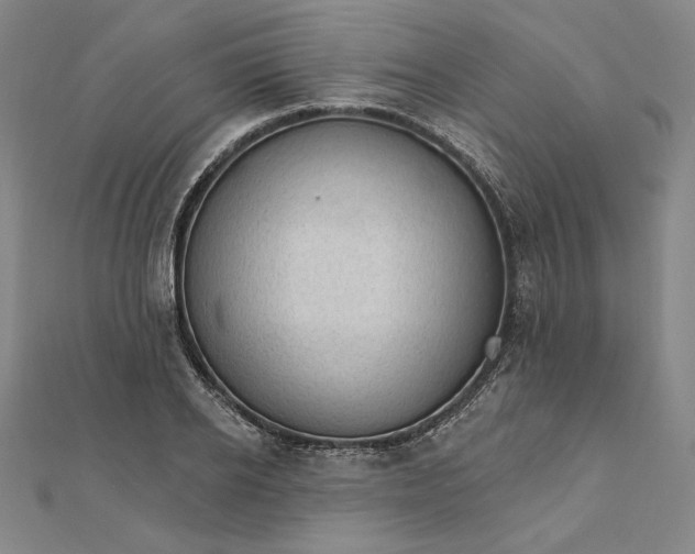 X0000111510934200908041219